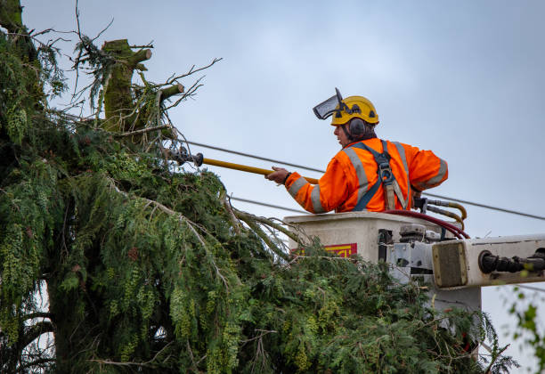 Best Utility Line Clearance  in Munroe Falls, OH